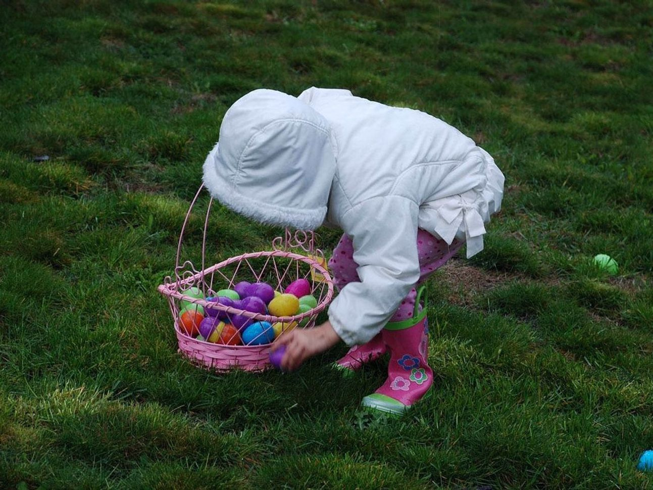 Pure natural eggs